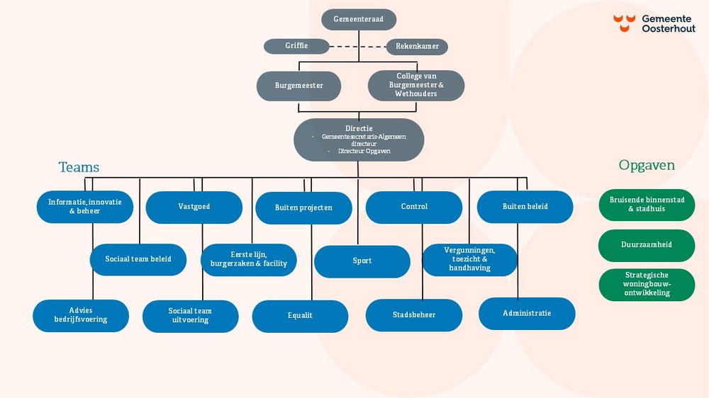 organogram organisatie