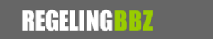 BBZ regeling bbz regeling