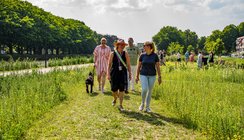 Wandelende mensen over een grasvlakte