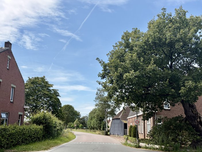 heilige eik den hout