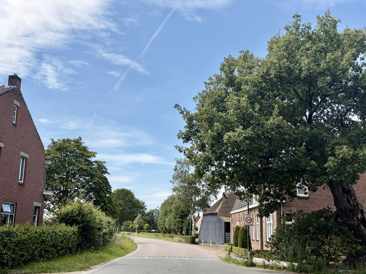 Ondersteuning Heilige Eik Den Hout