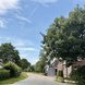 heilige eik den hout